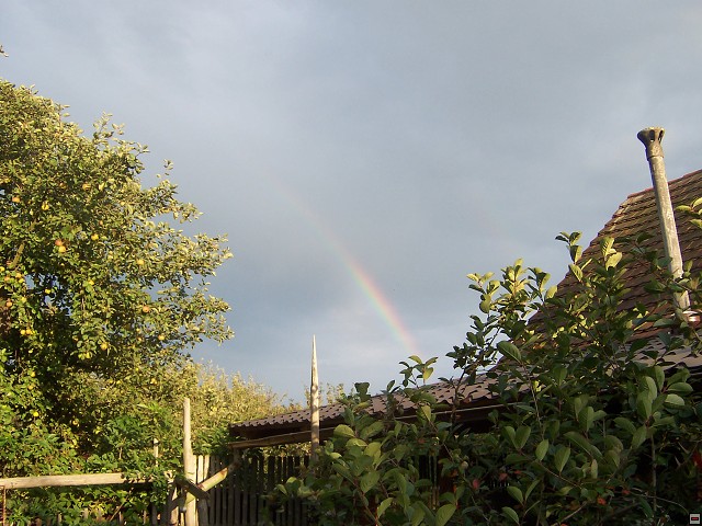 img00035.jpg