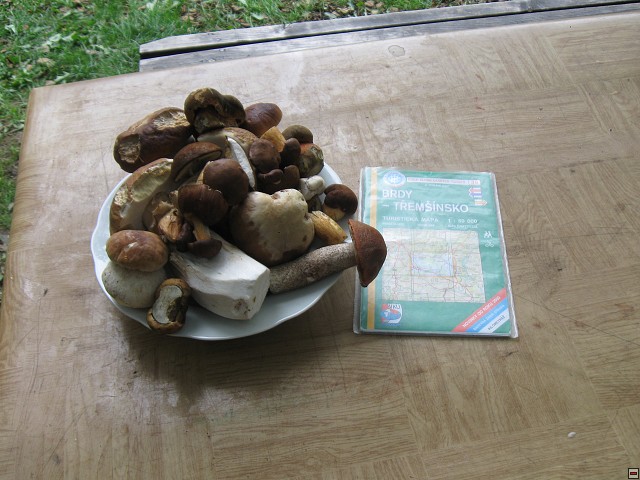 img00017.jpg