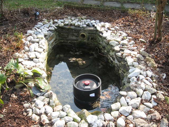img00012.jpg