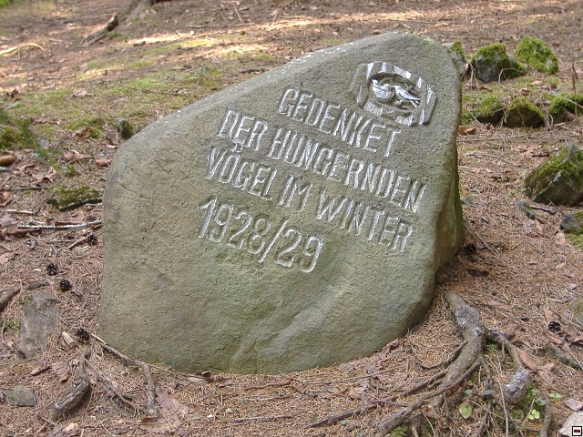 img00022.jpg