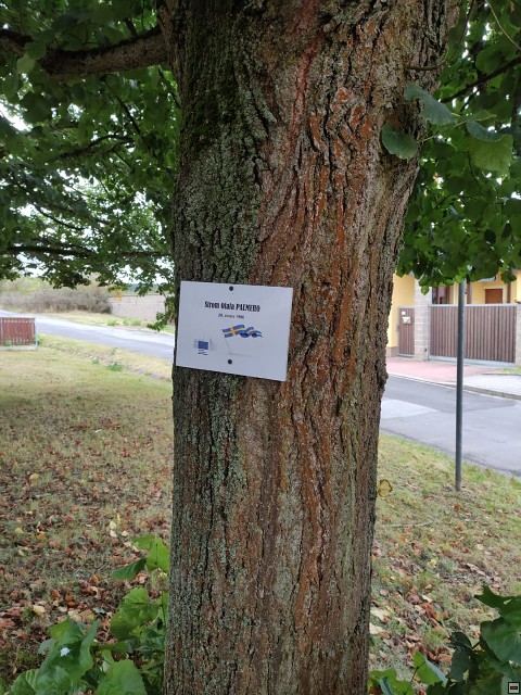 img00006.jpg