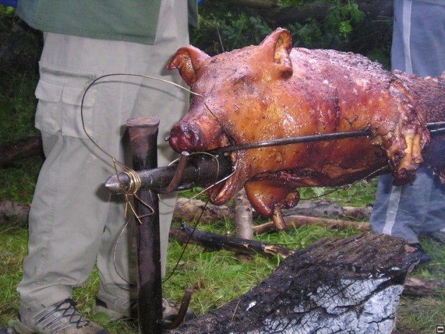 img00013.jpg