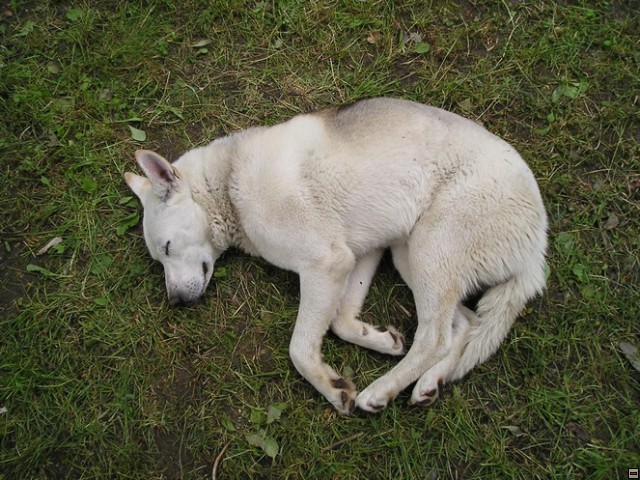 img00018.jpg