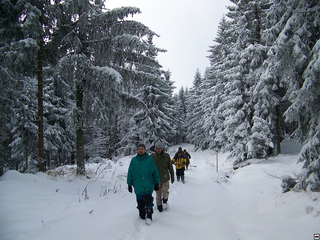 img00005.jpg