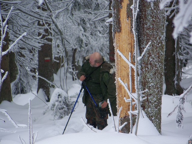 img00007.jpg
