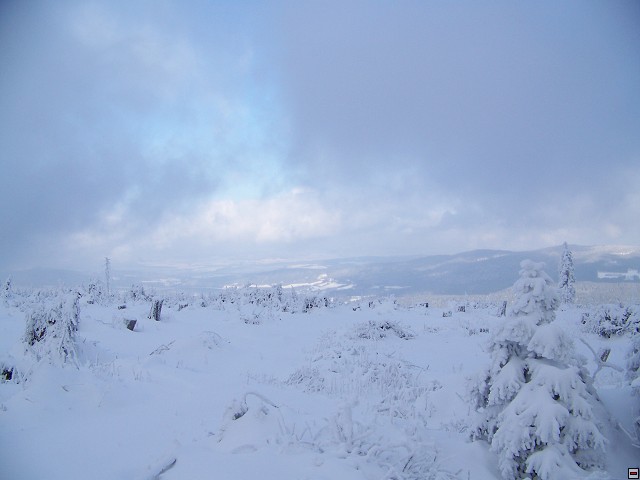 img00012.jpg