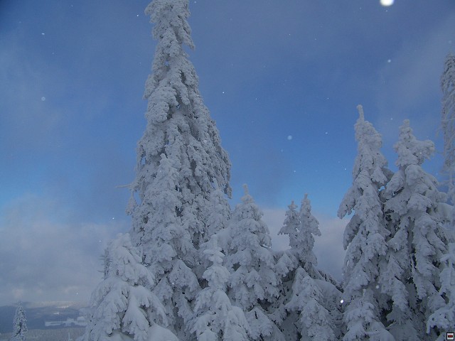img00015.jpg
