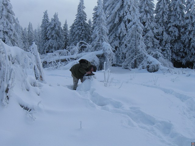 img00017.jpg
