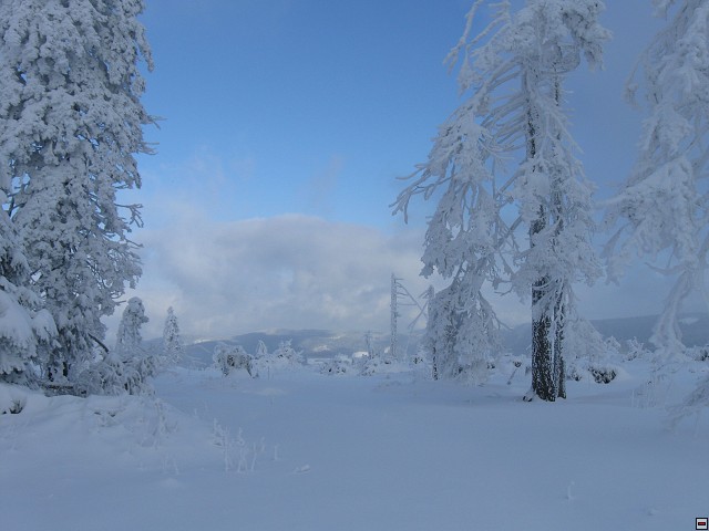 img00018.jpg