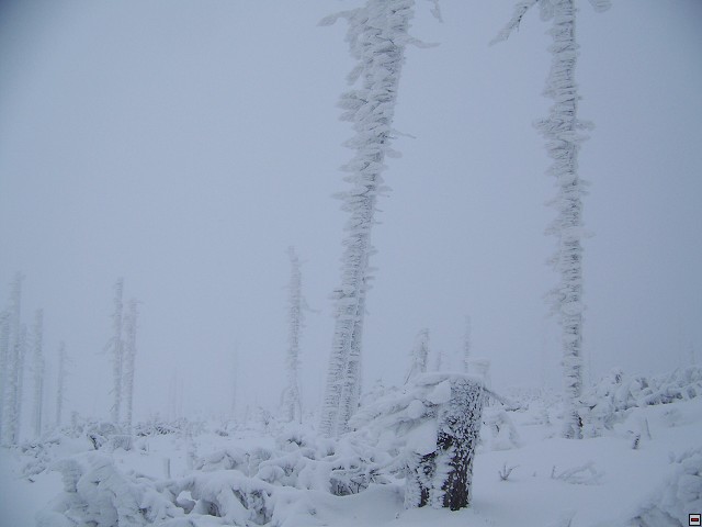 img00020.jpg