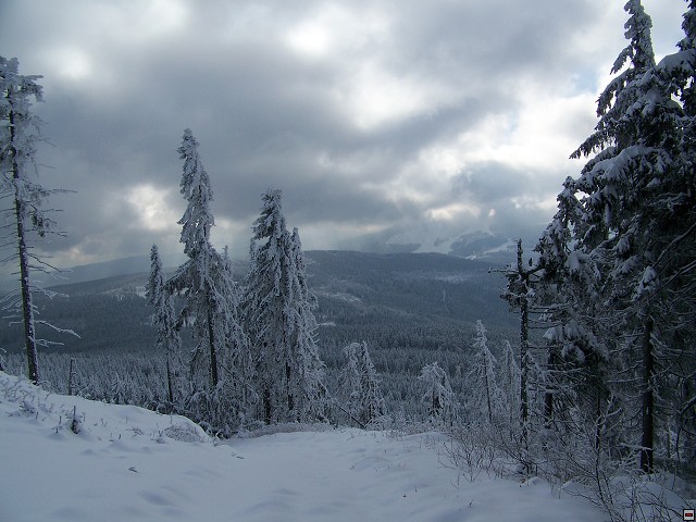 img00023.jpg