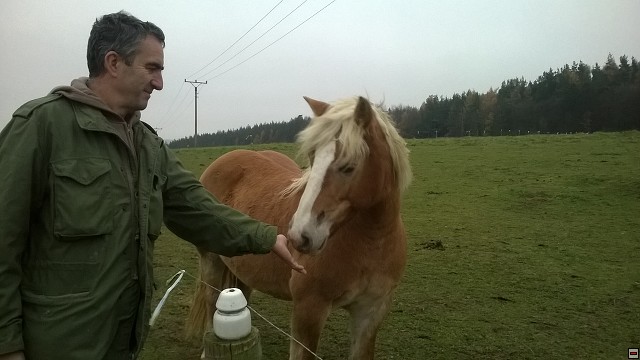 img00009.jpg