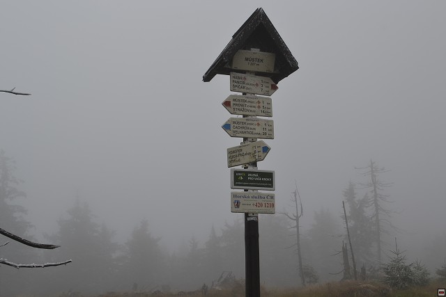 img00021.jpg