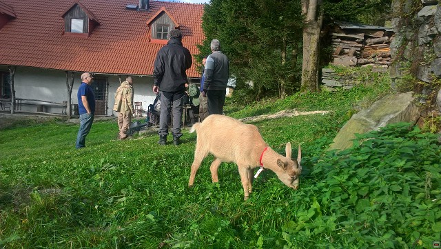img00009.jpg