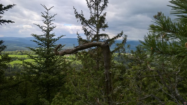 img00037.jpg