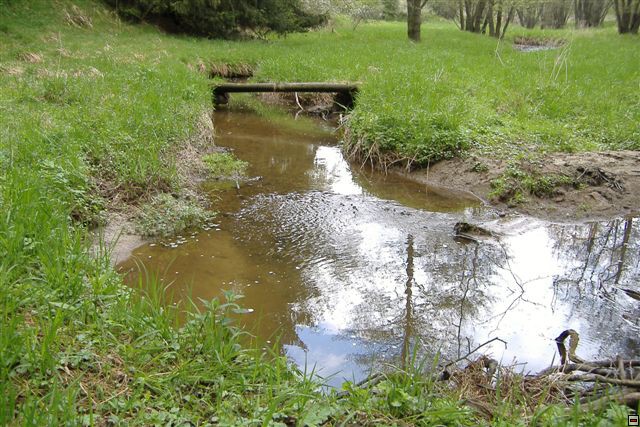 img00024.jpg