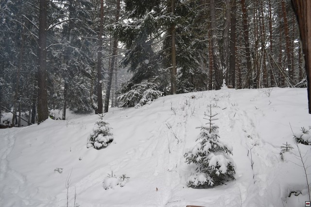 img00002.jpg