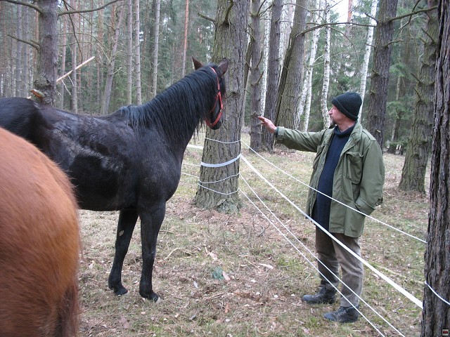 img00009.jpg