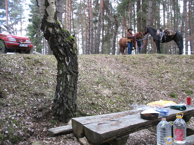 img00011.jpg