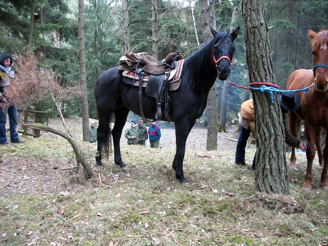 img00012.jpg