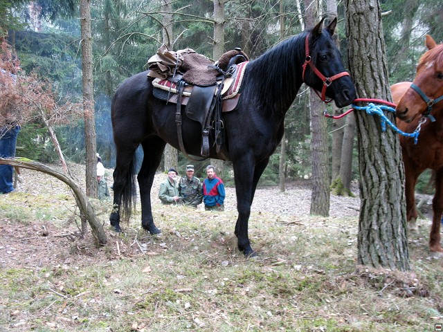 img00013.jpg