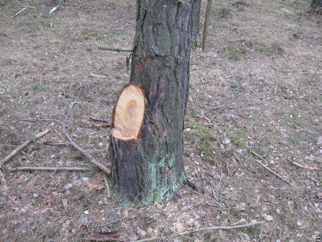 img00004.jpg