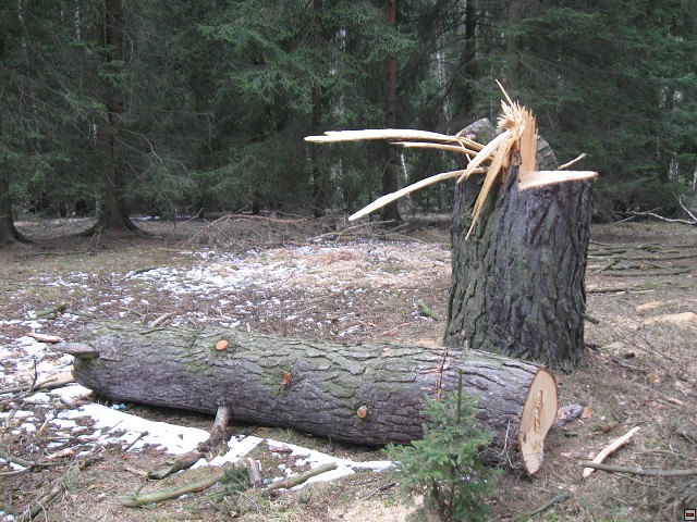 img00005.jpg
