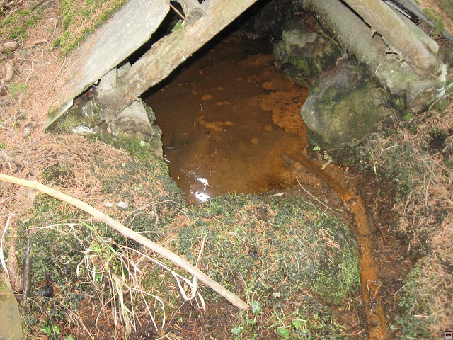 img00007.jpg