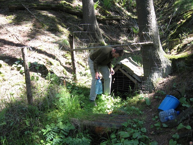 img00010.jpg