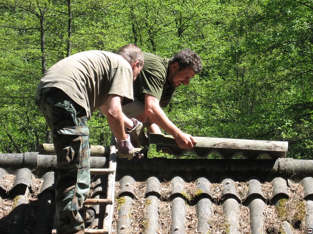 img00026.jpg