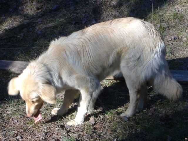 img00003.jpg