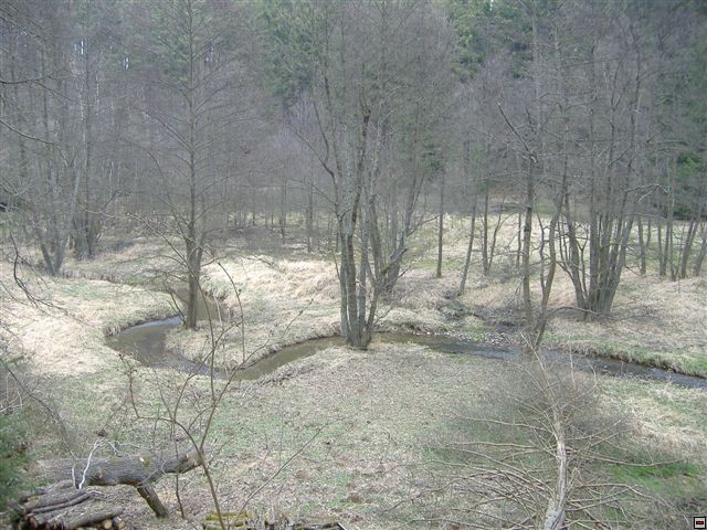 img00008.jpg