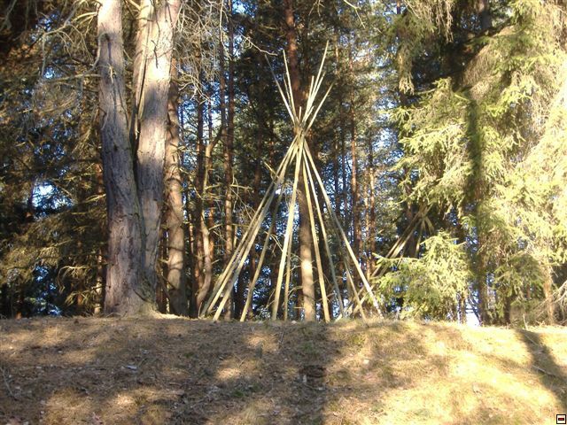 img00011.jpg