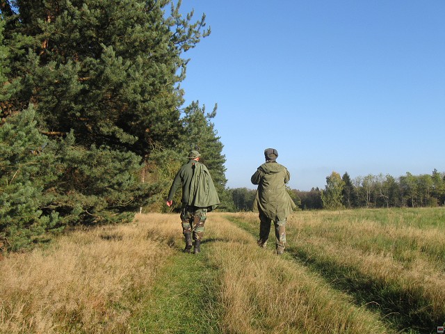 img00016.jpg