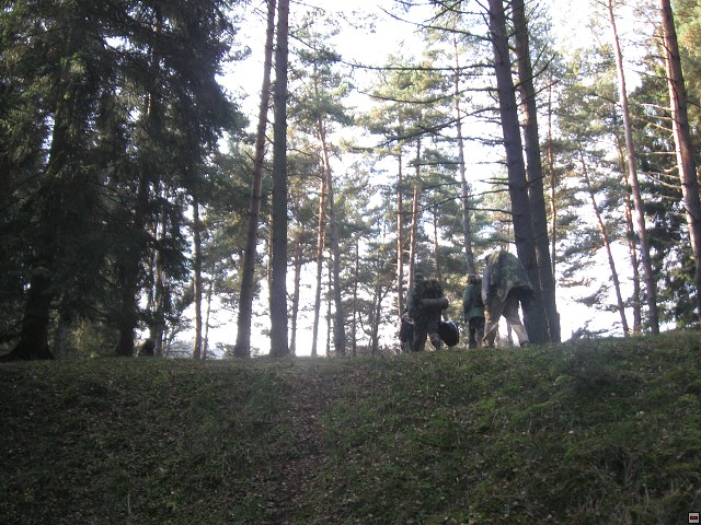 img00029.jpg
