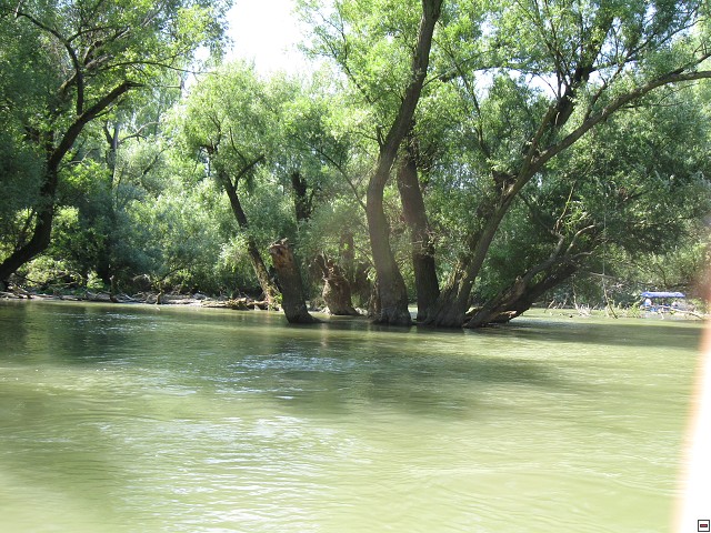 img00009.jpg
