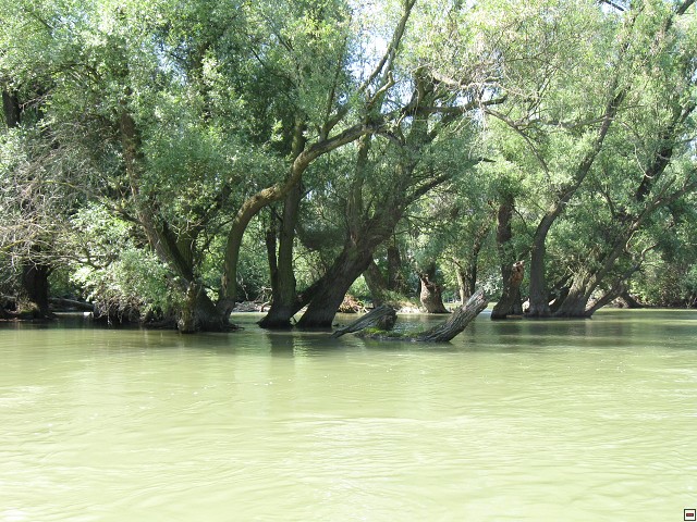 img00010.jpg