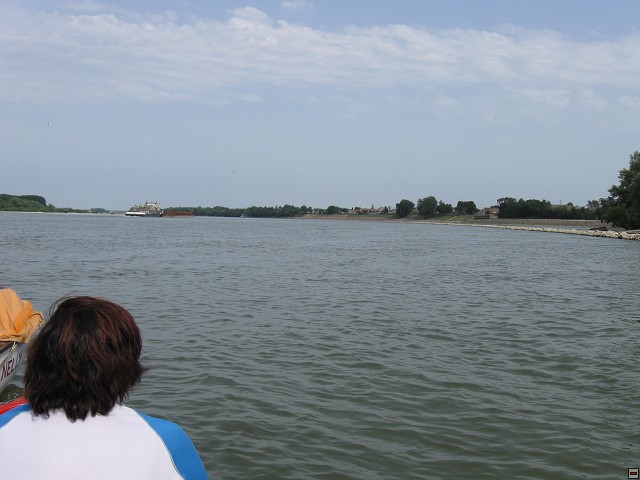 img00025.jpg