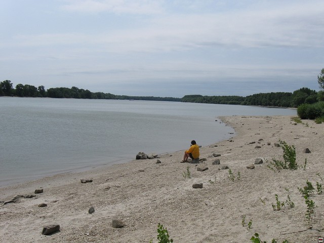 img00028.jpg