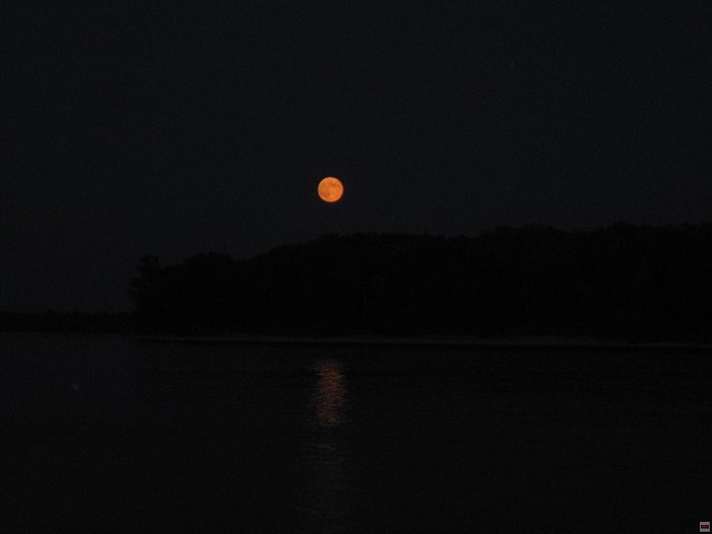 img00036.jpg