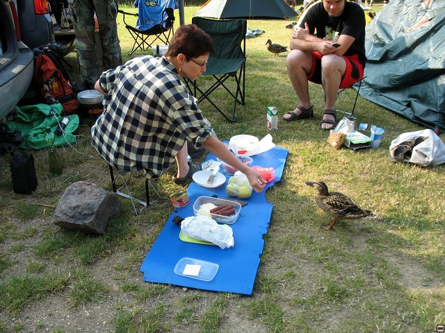 img00015.jpg