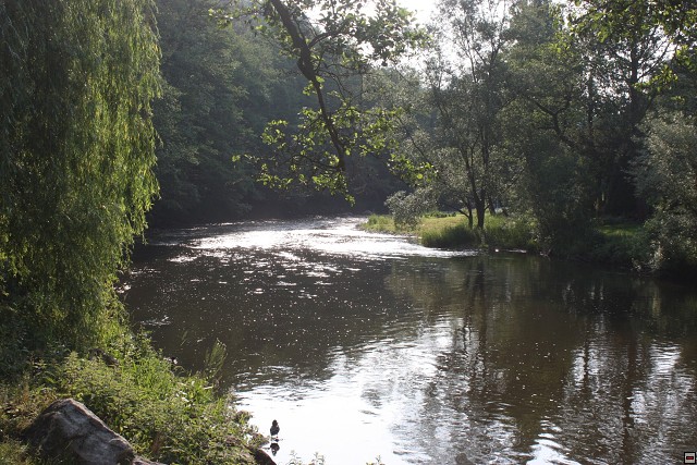 img00024.jpg