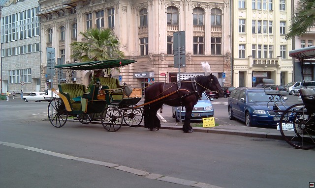 img00002.jpg