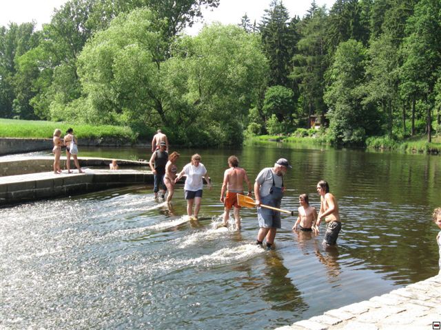 img00106.jpg