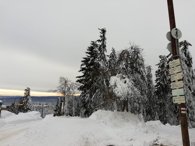 img00001.jpg