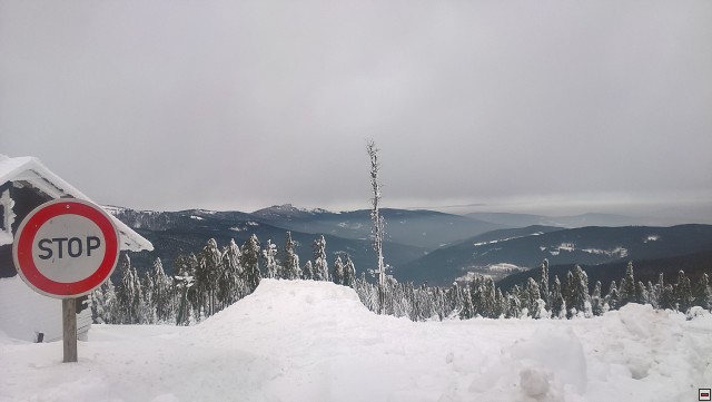 img00007.jpg