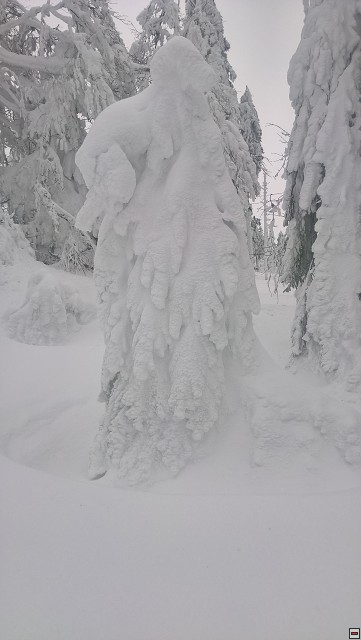 img00016.jpg
