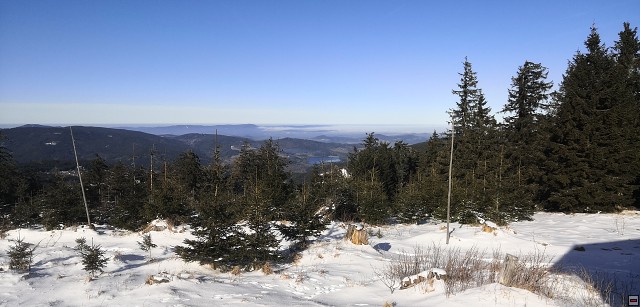 img00005.jpg