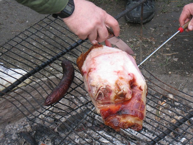 img00013.jpg
