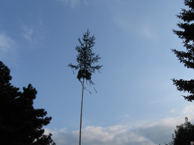 img00016.jpg